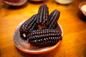 Purple Corn - also violetfrabender Mais, für Europäer exotisch und schön anzusehen auf den großartig dekorierten Tellern der peruanischen Küche - auch ein Beispiel für die Bio-Diversität Perus.